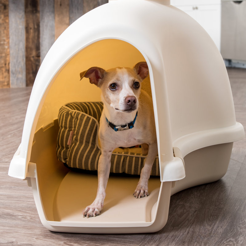 IRIS Large Igloo Shaped Dog House & Reviews Wayfair